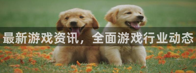 奇亿娱乐平台官网客服电话：最新游戏资讯，全面游戏行业动态