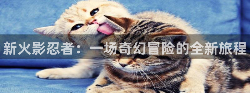 奇亿娱乐测速：新火影忍者：一场奇幻冒险的全新旅程