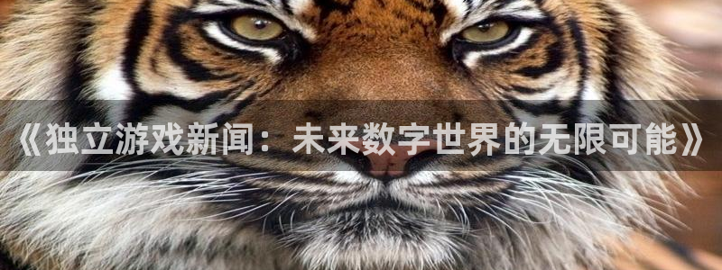 奇亿娱乐的意思：《独立游戏新闻：未来数字世界的无限可能》