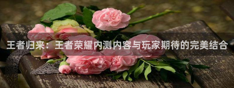 奇亿娱乐的意思：王者归来：王者荣耀内测内容与玩家期待的完美结