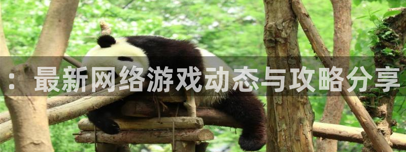 沐春奇亿娱乐：：最新网络游戏动态与攻略分享