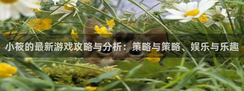 奇亿娱乐2登录：小筱的最新游戏攻略与分析：策略与策略、娱乐与