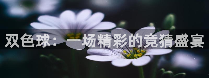 咪咕视频app：双色球：一场精彩的竞猜盛宴